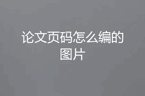 论文页码怎么编的图片