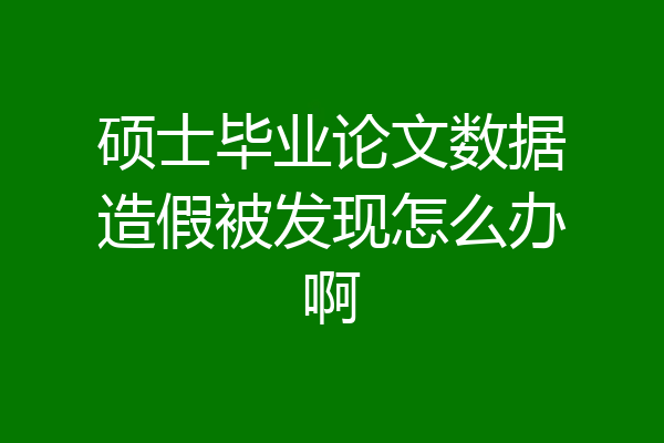 硕士毕业论文数据造假被发现怎么办啊