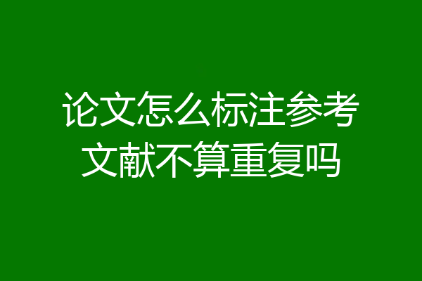 论文怎么标注参考文献不算重复吗