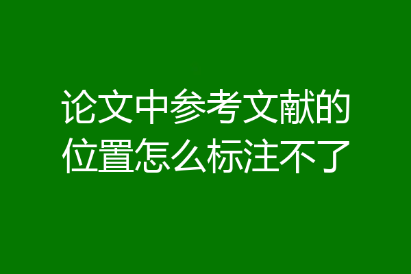 论文中参考文献的位置怎么标注不了