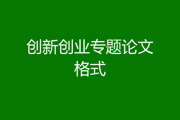 创新创业专题论文格式