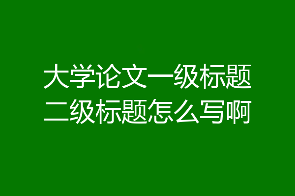 大学论文一级标题二级标题怎么写啊