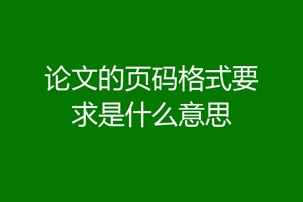 论文的页码格式要求是什么意思