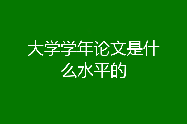 大学学年论文是什么水平的