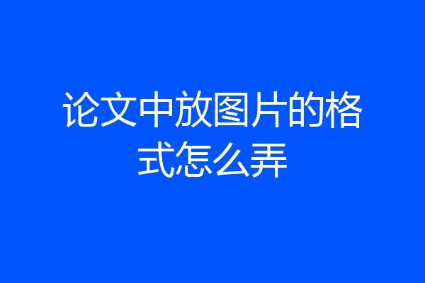 论文中放图片的格式怎么弄