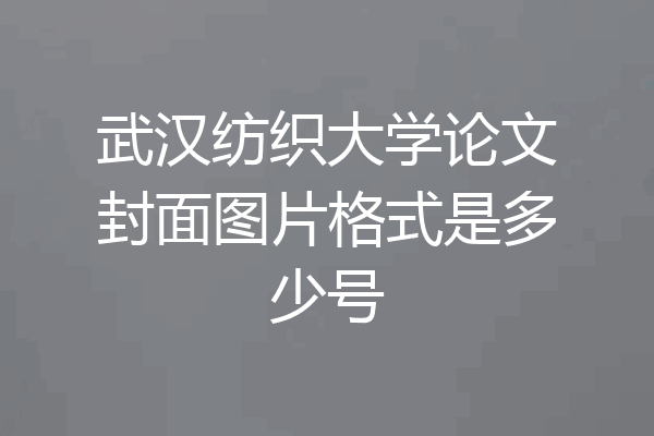 武汉纺织大学论文封面图片格式是多少号