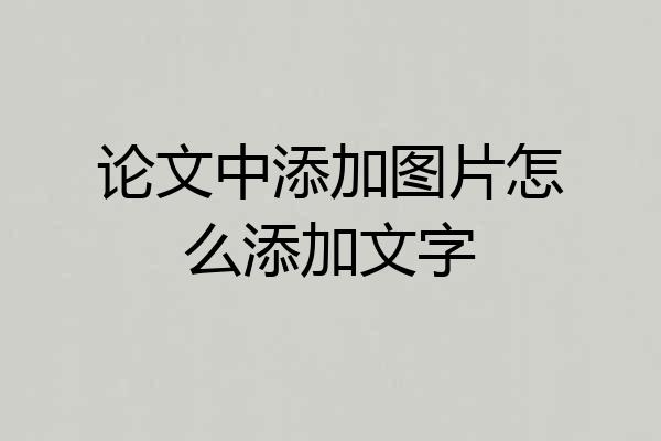 论文中添加图片怎么添加文字