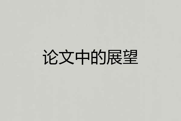 论文中的展望