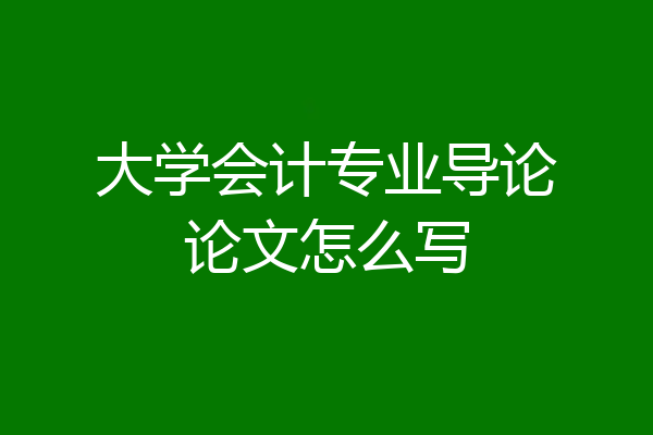 大学会计专业导论论文怎么写