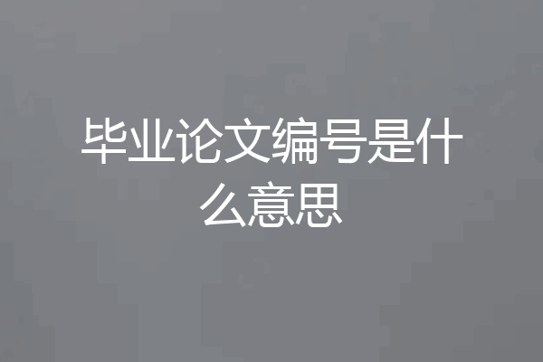 毕业论文编号是什么意思