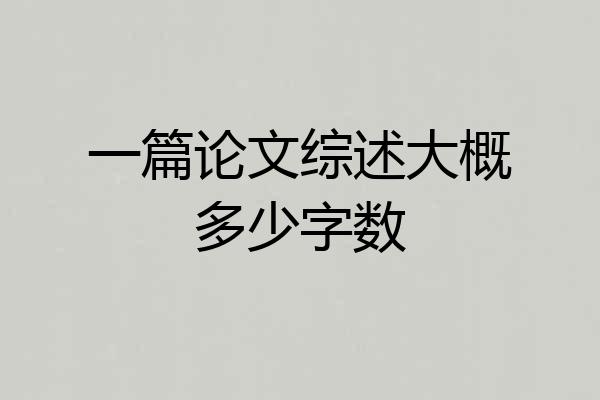 一篇论文综述大概多少字数