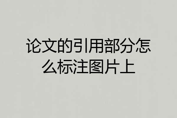 论文的引用部分怎么标注图片上