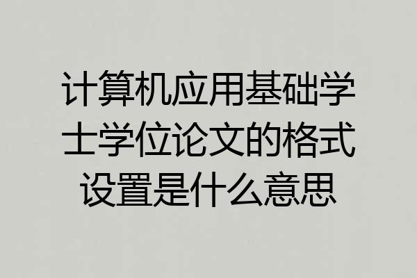 计算机应用基础学士学位论文的格式设置是什么意思