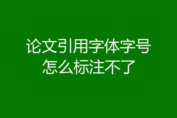 论文引用字体字号怎么标注不了