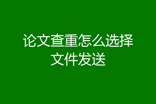 论文查重怎么选择文件发送
