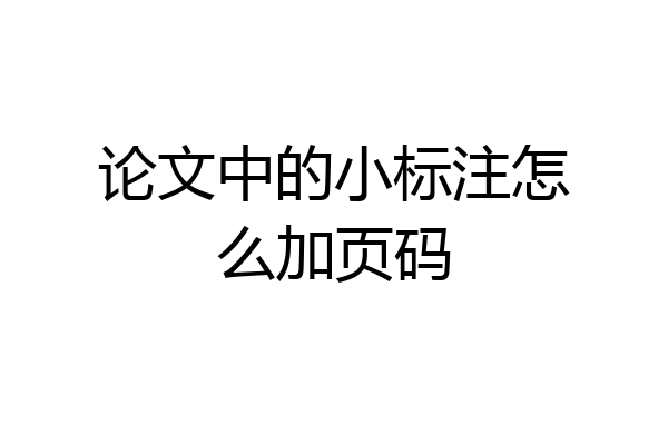 论文中的小标注怎么加页码