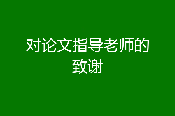 对论文指导老师的致谢