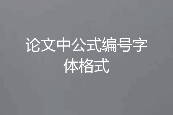 论文中公式编号字体格式