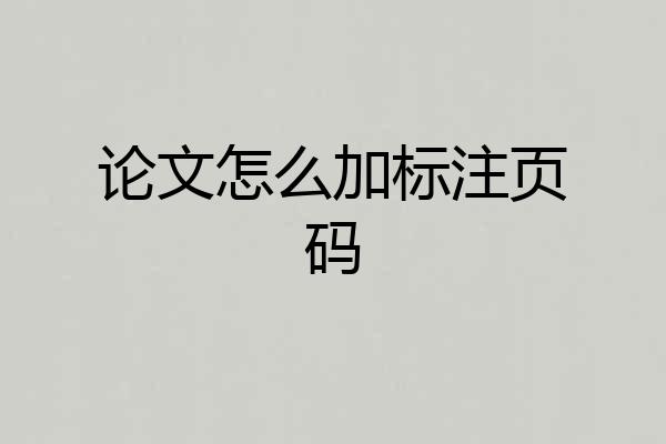 论文怎么加标注页码
