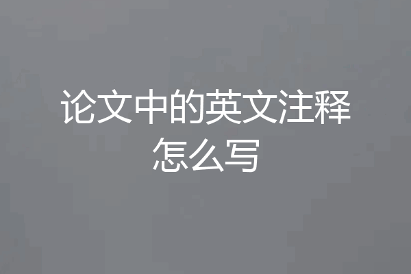 论文中的英文注释怎么写