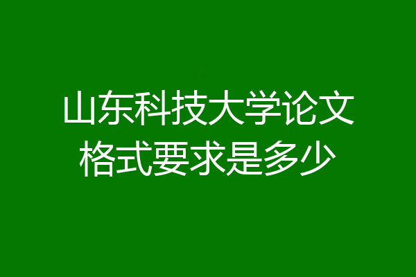 山东科技大学论文格式要求是多少