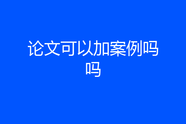 论文可以加案例吗吗