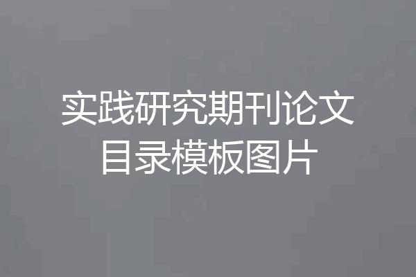 实践研究期刊论文目录模板图片