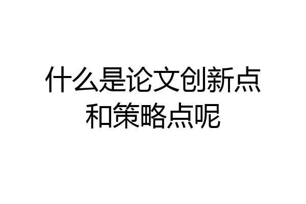 什么是论文创新点和策略点呢