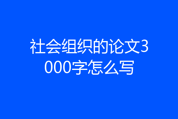 社会组织的论文3000字怎么写