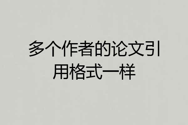 多个作者的论文引用格式一样