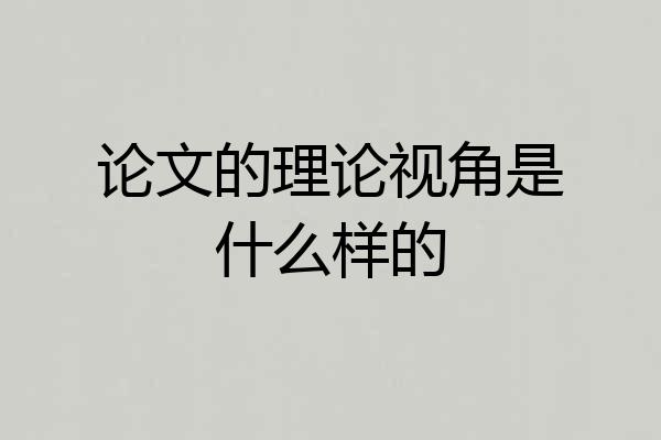 论文的理论视角是什么样的