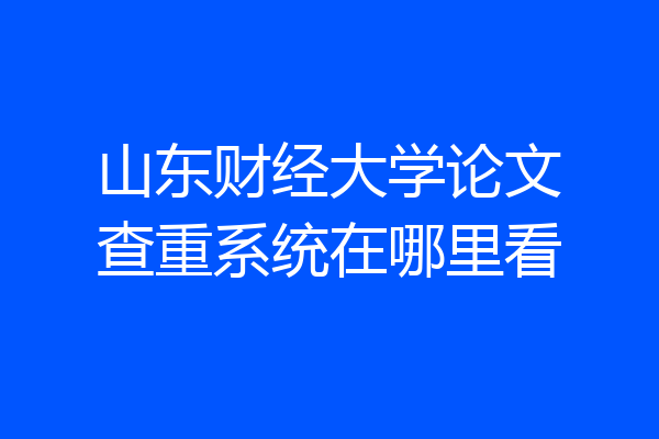 山东财经大学论文查重系统在哪里看