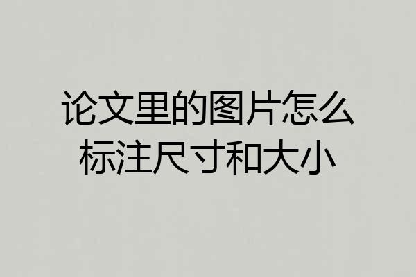 论文里的图片怎么标注尺寸和大小