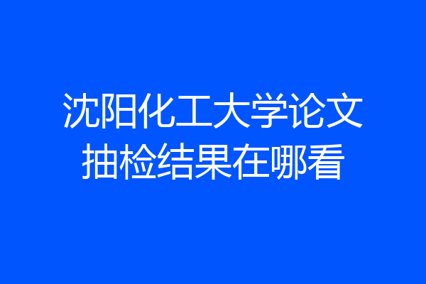 沈阳化工大学论文抽检结果在哪看