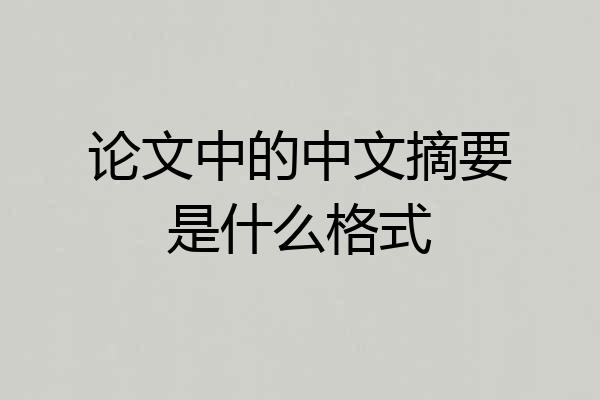 论文中的中文摘要是什么格式