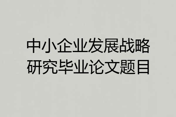 中小企业发展战略研究毕业论文题目