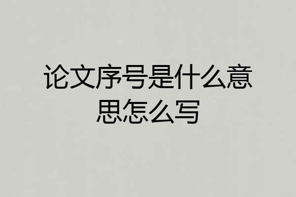 论文序号是什么意思怎么写