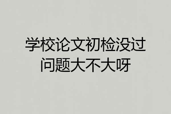 学校论文初检没过问题大不大呀