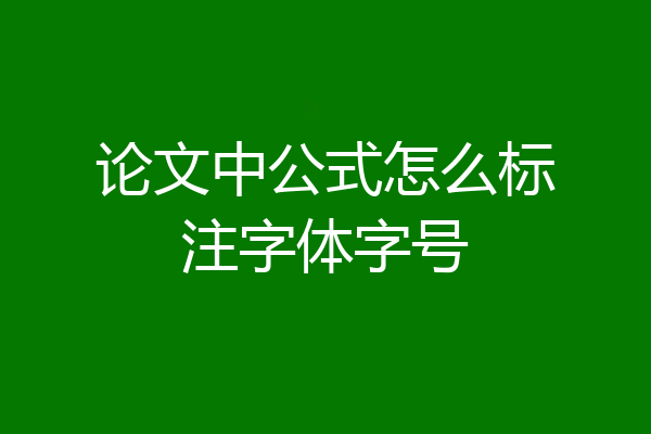 论文中公式怎么标注字体字号
