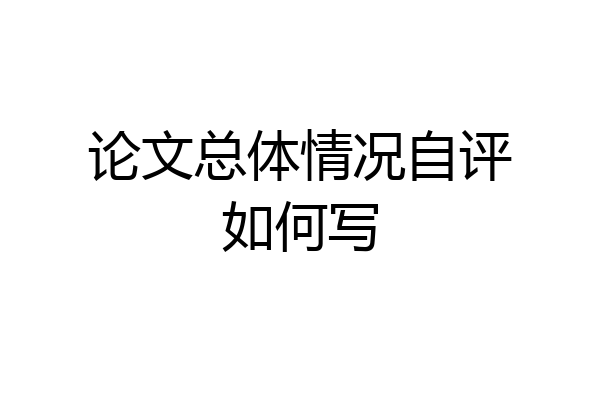论文总体情况自评如何写