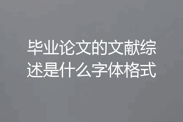 毕业论文的文献综述是什么字体格式