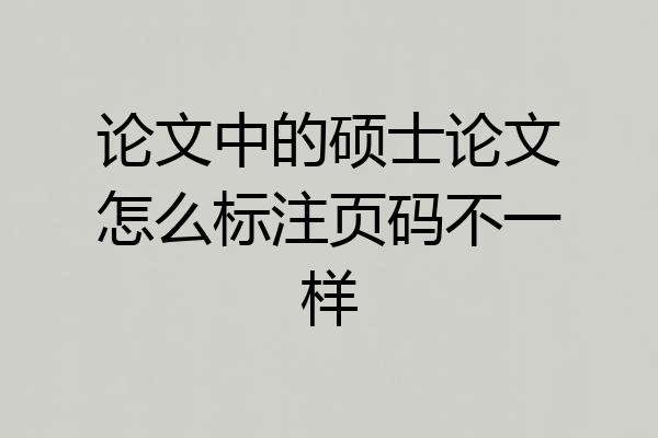 论文中的硕士论文怎么标注页码不一样