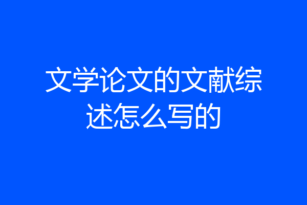 文学论文的文献综述怎么写的