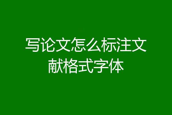 写论文怎么标注文献格式字体