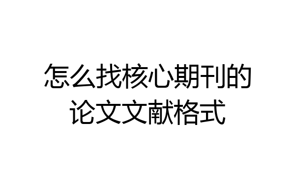 怎么找核心期刊的论文文献格式