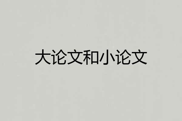 大论文和小论文