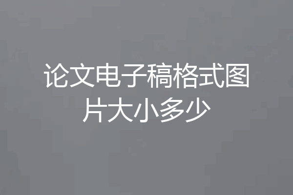 论文电子稿格式图片大小多少