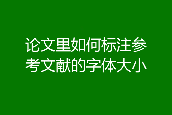 论文里如何标注参考文献的字体大小