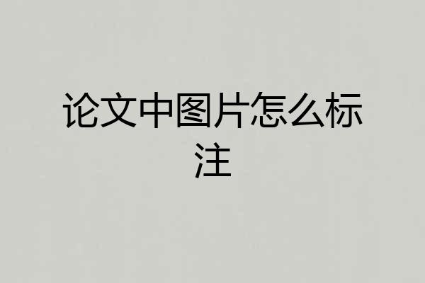 论文中图片怎么标注