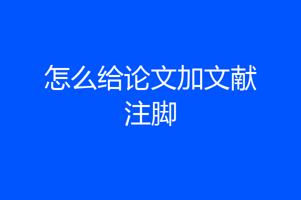 怎么给论文加文献注脚